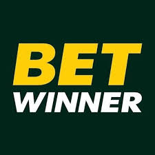 Everything You Need to Know About Betwinner Login 6